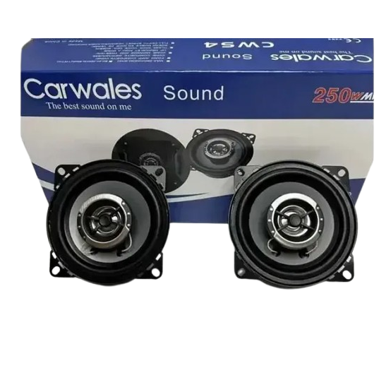 Динамики автомобильные CWS-4 Carwales Sound 10см 250W Винница