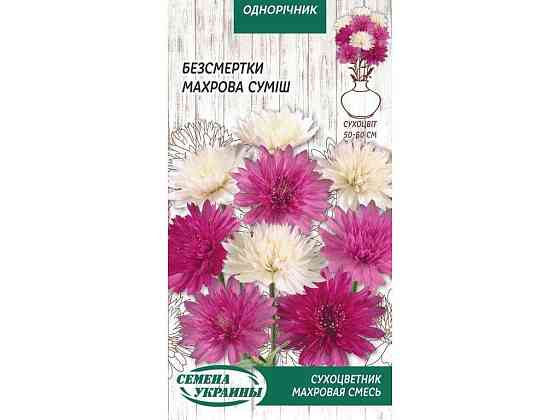 Безсмертки МАХРОВА (суміш) 0,2г (10 пачок) ТМ НАСІННЯ УКРАЇНИ Київ