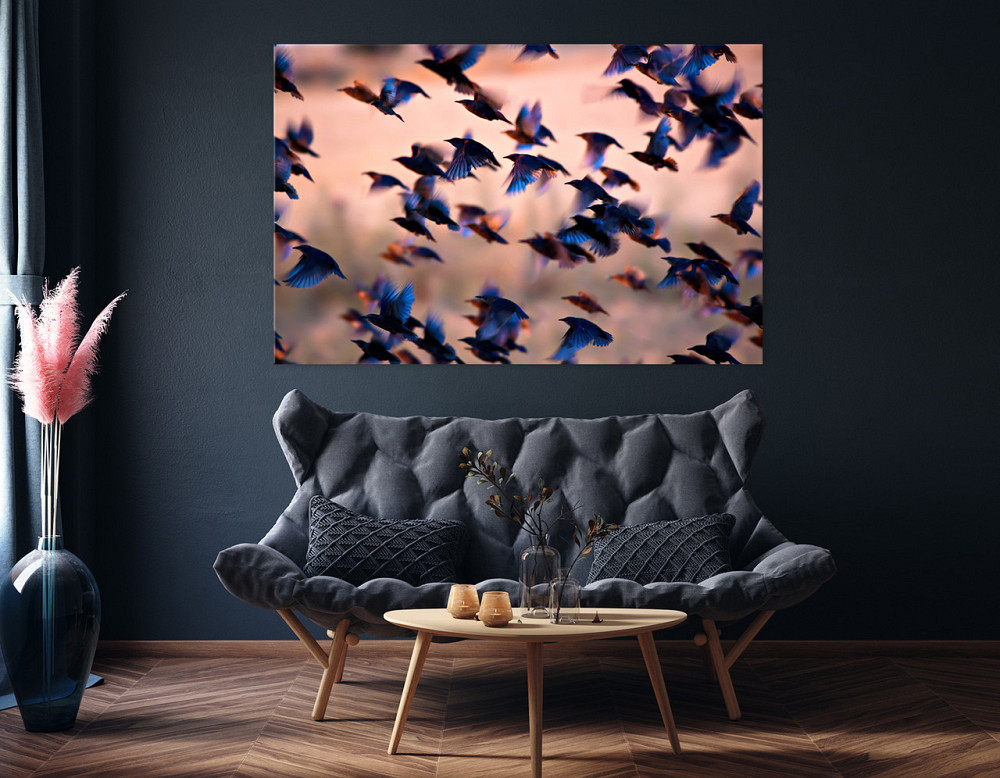 Картина холст у вітальню / спальню Пташки      MLP_12  ( 60х30см ) 80x120 см Київ - фото 4