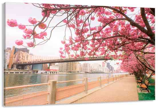 Картина полотно у вітальню / спальню   Сакура  MLP_363 ( 60х30см ) 50x100 см Київ