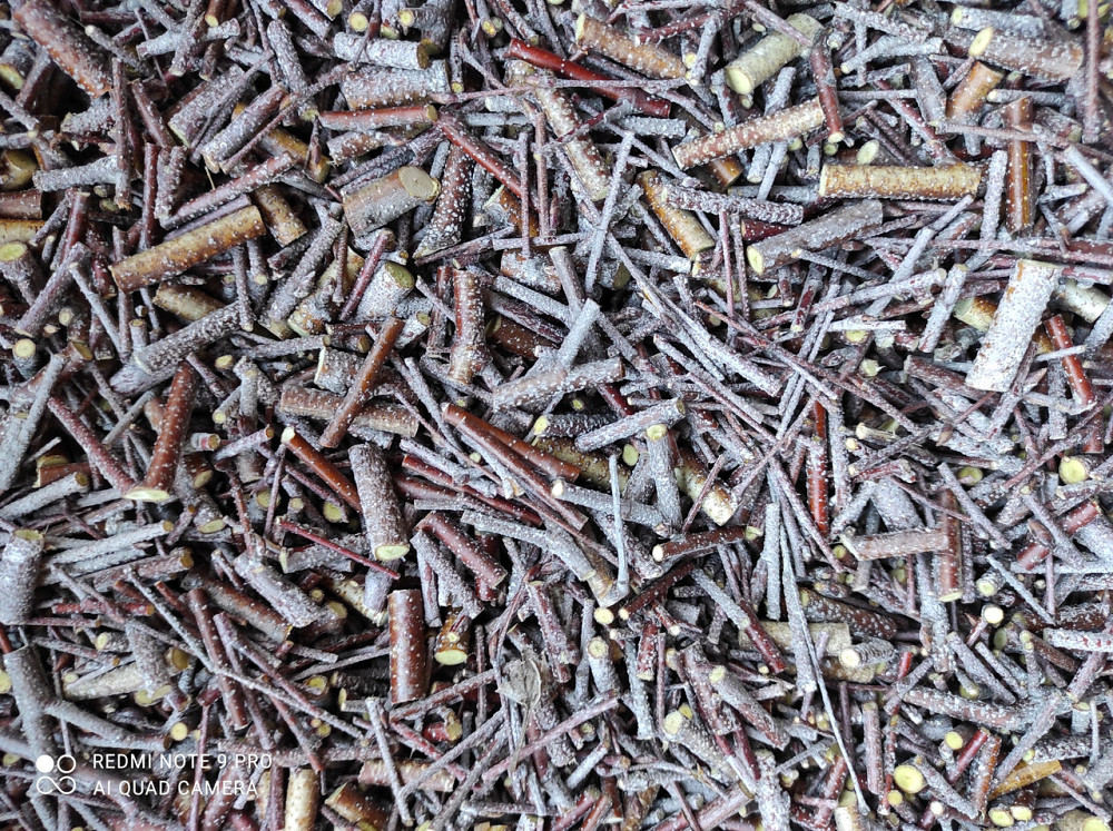 Веточки осины, 100г master sem Киев - изображение 1