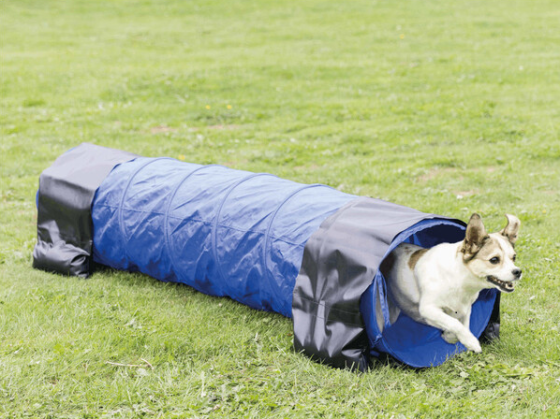 Тонель тренувальний аджиліті для собак Trixie Dog Activity (Тріксі) 40х200 см Запоріжжя
