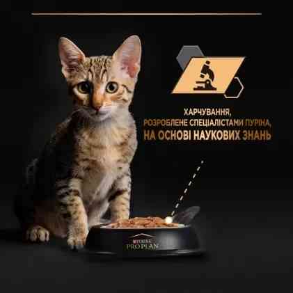 Влажный корм PRO PLAN Kitten Healthy Start для котят, кусочки в соусе, с индейкой, 10x85 г Киев