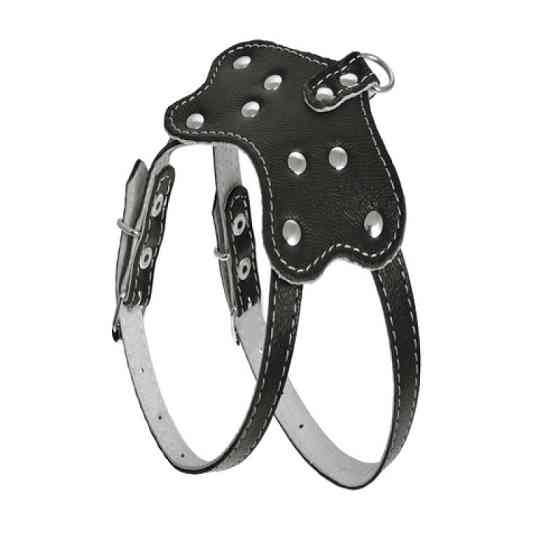 010 КОМПЛЕКТ "ПЕРЛАМУТР":шлейка "800"+ Повідець"788" Вінниця