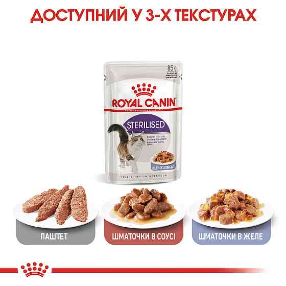 Вологий корм для дорослих стерилізованих котів ROYAL CANIN STERILISED IN JELLY 0.085 кг Київ