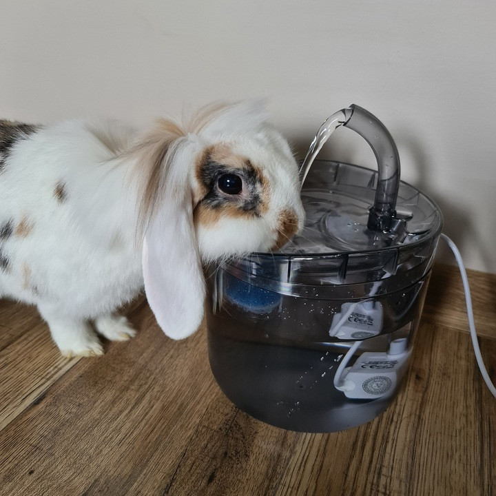 Автоматическая Поилка - фонтан для домашних животных 2 литры Purlov (20700) Нововолынск - изображение 10