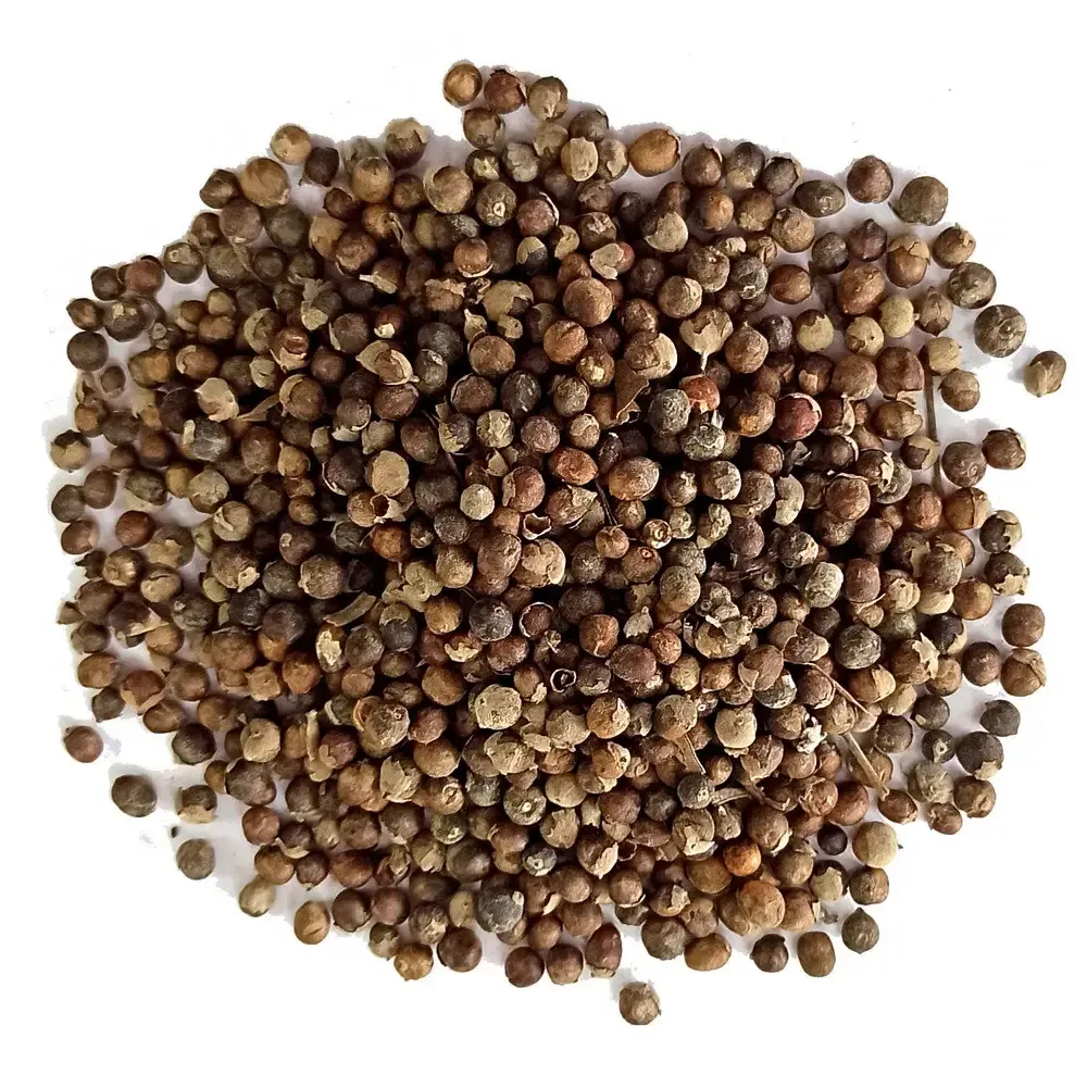 Витекс священний / Авраамово дерево (семена), 100г. MasterSEM Киев - изображение 1