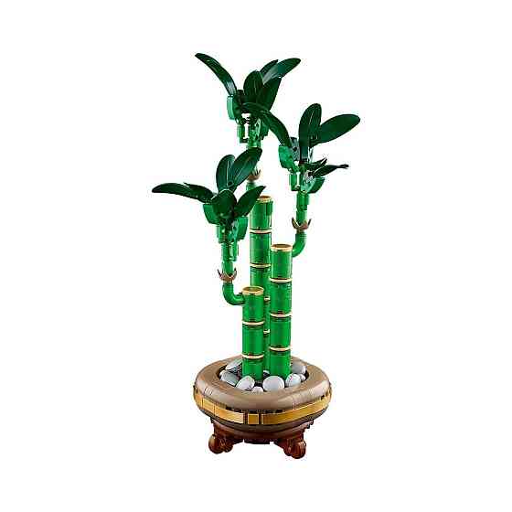 Конструктор Botanicals Драцена сандера 325 деталей (10344), совместимый с lego лего Киев