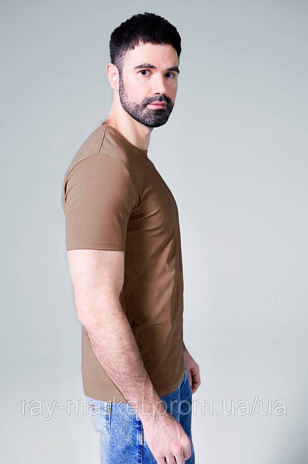 Футболка базова Ray Premium Fit чоловіча коричнева (U0102-Brown) Київ - фото 2