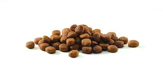 Сухой корм PURINA ONE Indoor для взрослых кошек, постоянно находящихся в помещении, комплекс Bifensis, с индейкой, 800 г Киев