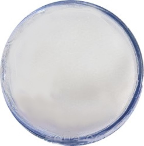 АКРИЛОВАЯ ПУДРА GLOBAL ПРОЗРАЧНАЯ, 28 МЛ Киев - изображение 2