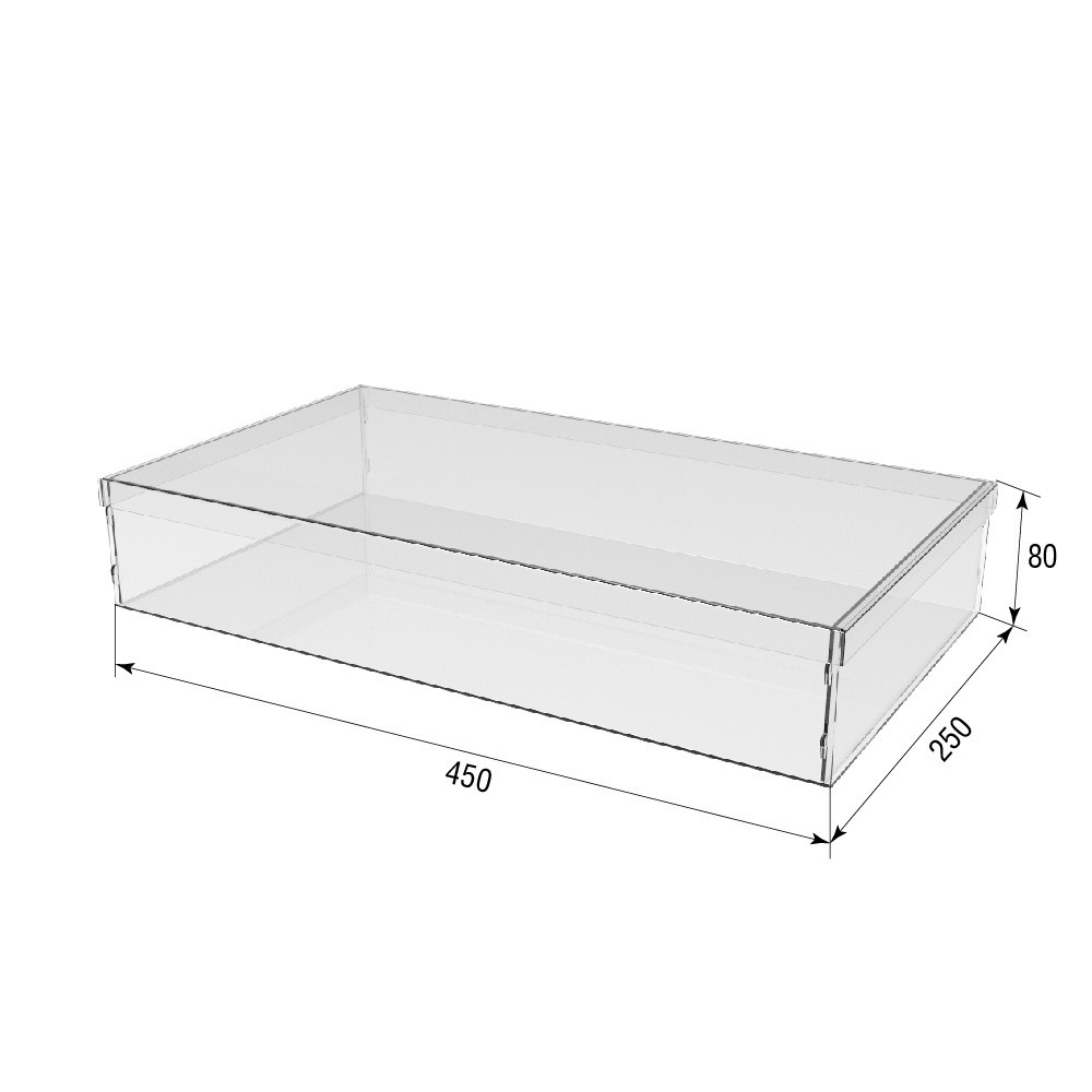 Коробка акриловая EKOSTAR 450х250х80 с крышкой Киев - изображение 4