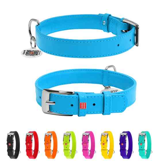 Нашийник для собак шкіряний WAUDOG Glamour з QR паспортом, без прикрас, L, Ш 25 мм, Дов 38-49 с Коломыя