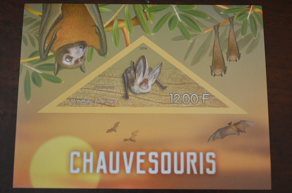 Конго. Фауна. Личности. Блок. 2014 р. (А-34) Полтава - фото 1