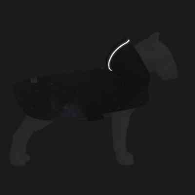 Дождевик для животных WAUDOG Clothes с капюшоном "NASA21" XXS (354-0148) Винница