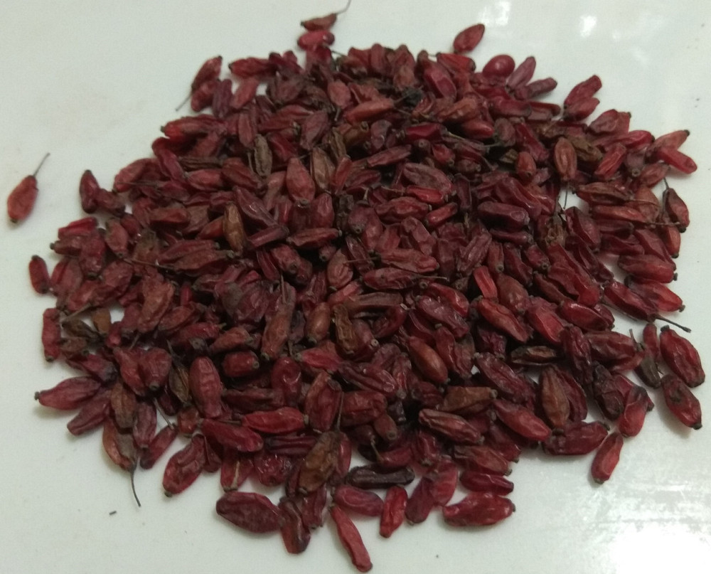 Барбарис красный (ягода), 100г. MasterSEM Киев - изображение 1