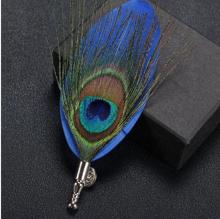 Брошь стильная Перо павлина Киев - изображение 1