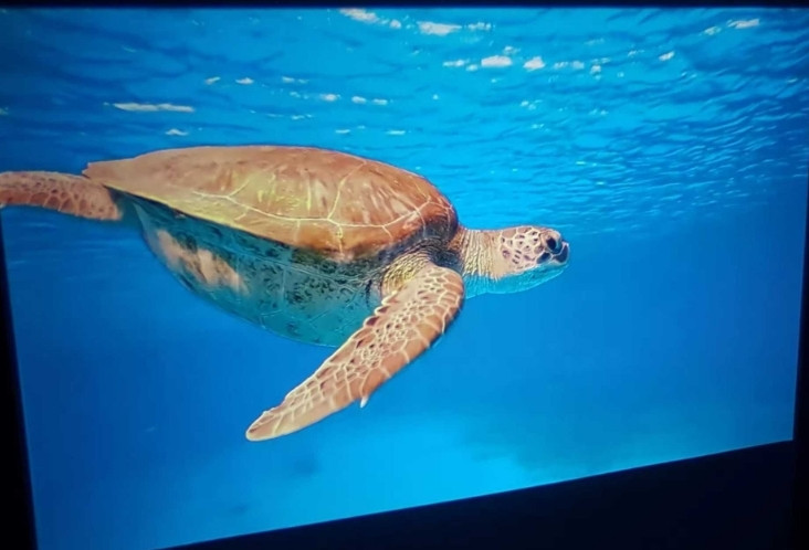 Портативний проєктор Magcubic HY300 PRO Android cо Smart TV для дому Київ - фото 3