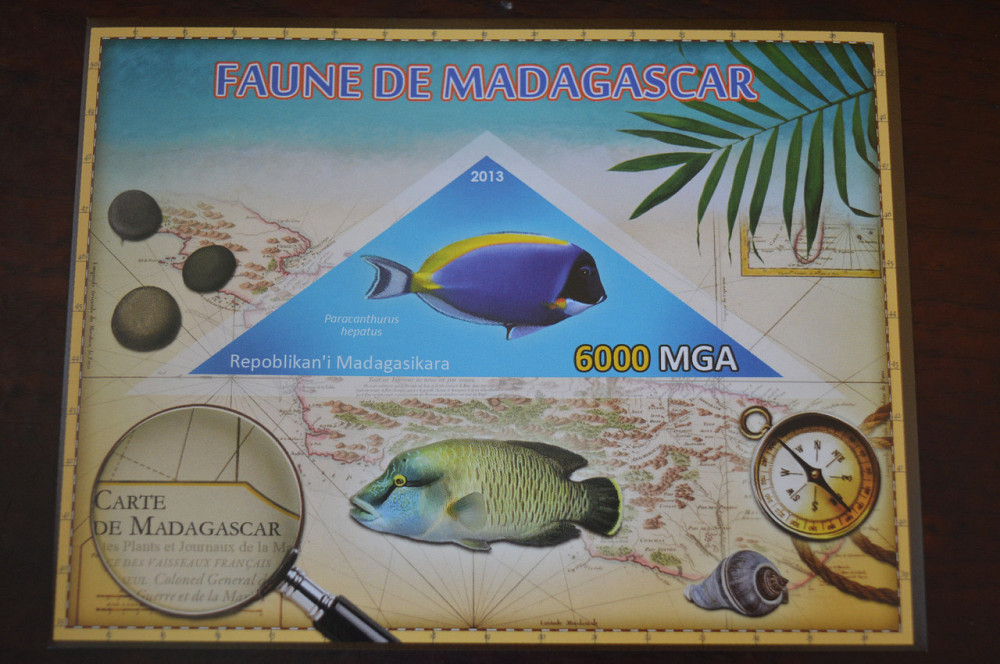 Мадагаскар. Фауна. Личности. Блок. 2014 р. (А-34) Полтава - фото 1