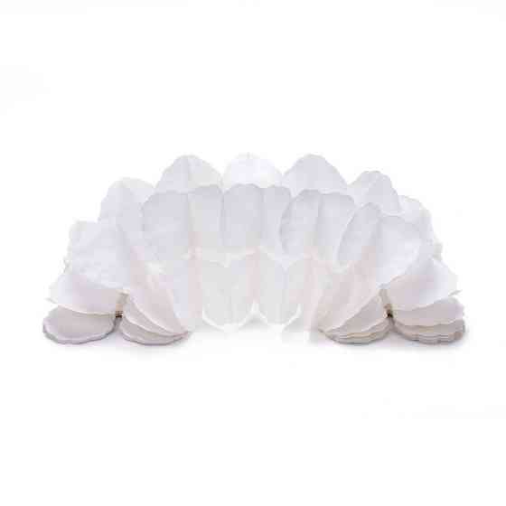 Гирлянда растяжка бумажная 3 м 16 на 11 см белый Киев