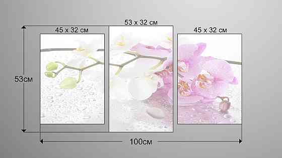 Модульна картина Квіти Орхідеї Art-15_3 Київ