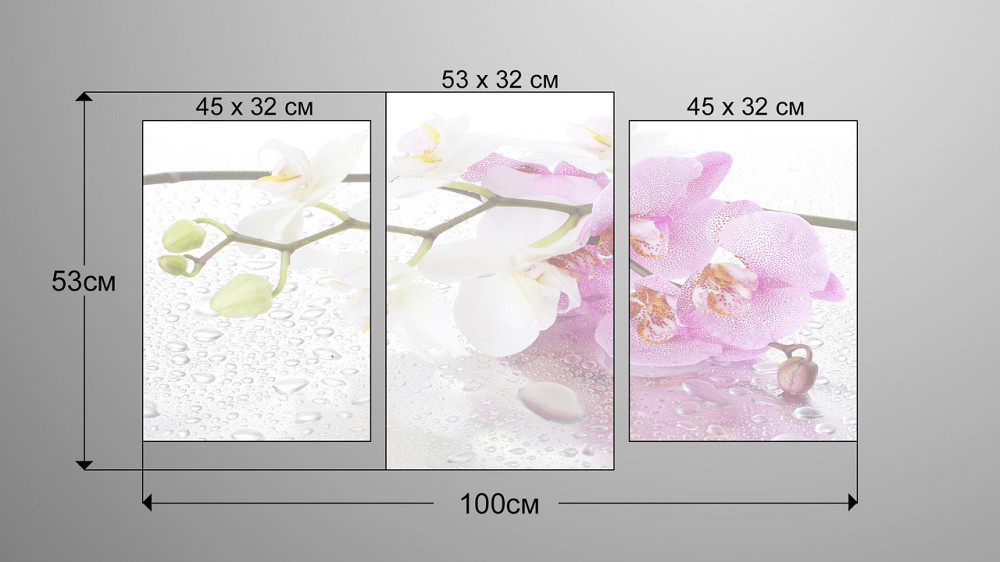 Модульна картина Квіти Орхідеї Art-15_3 Київ - фото 4