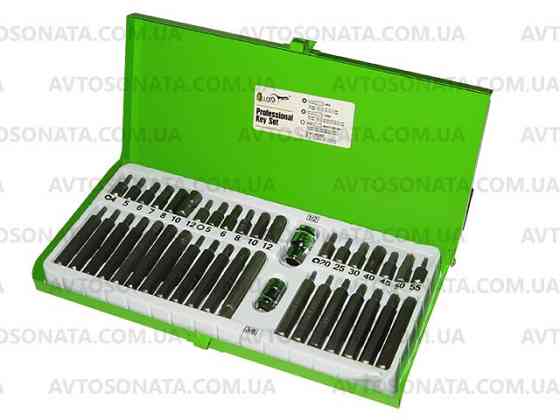 Набор бит 40 шт. (SPLINE,TORX) НБ-3840 Alloid Винница