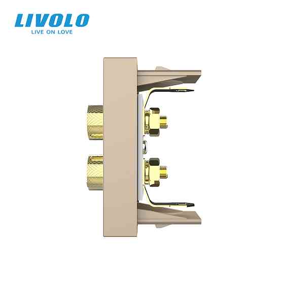 LIVOLO Аудіо розетка LIVOLO Banana Plug, золота, для колонок / підсилювача, модуль 0.5 поста (V Коломия