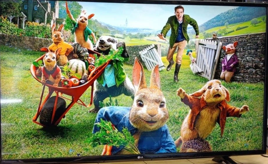 Телевізор LG 49" 4K UHD/Smart TV Wi-Fi T2/ WebOS Київ - фото 5