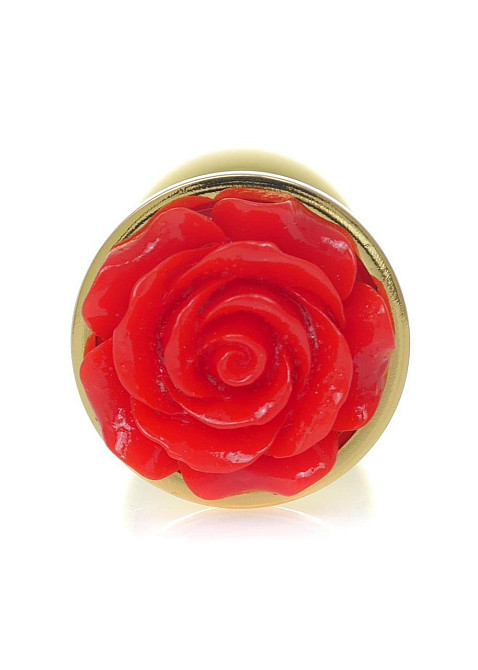 Анальная металлическая пробка Plug-Jewellery Gold PLUG ROSE-Red Sex Aura Киев - изображение 9