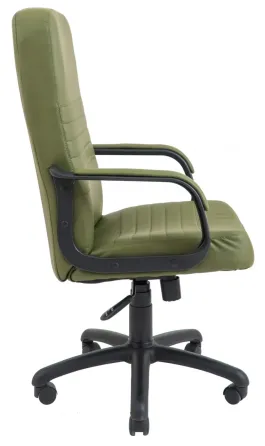 Офісне Крісло Керівника Richman Prius Fly 2235 Пластік Річ М2 AnyFix Зелений Київ