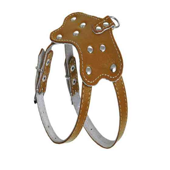 011 КОМПЛЕКТ "ПЕРЛАМУТР":шлейка" 801"+ Повідець"788" Вінниця