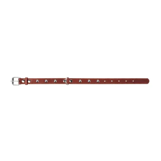 Ошейник CoLLaR одинарный с украшениями (ширина 25мм, длина 38-50см) коричневый Киев