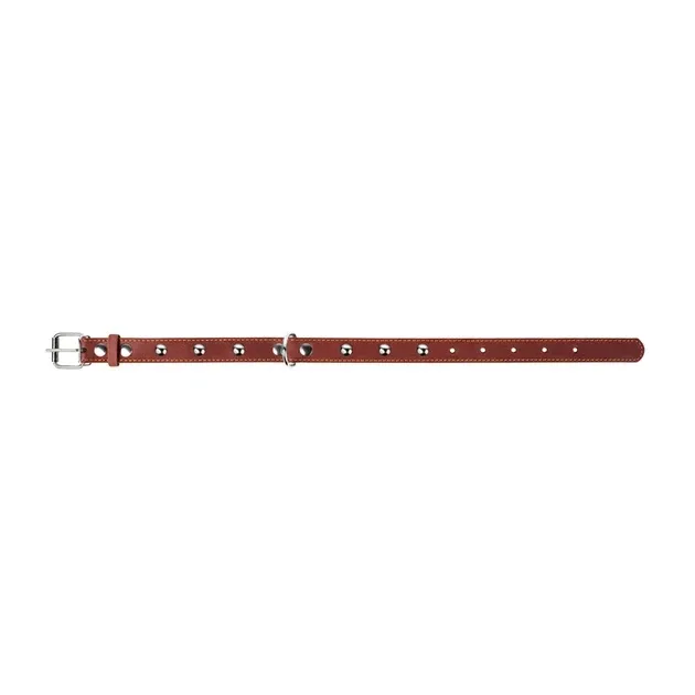 Ошейник CoLLaR одинарный с украшениями (ширина 25мм, длина 38-50см) коричневый Киев - изображение 3