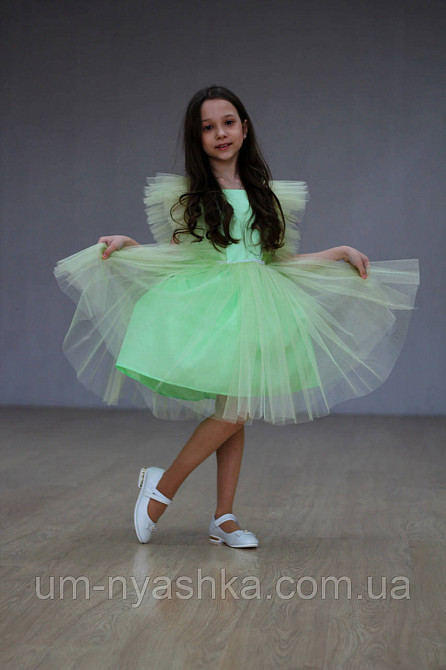 Костюм Капуста, обідок Капусти Кривий Ріг - фото 5