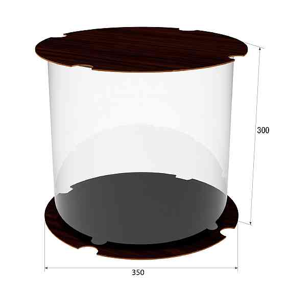 Коробка для тортів, квітів та подарунків EKOSTAR 310х300 Київ