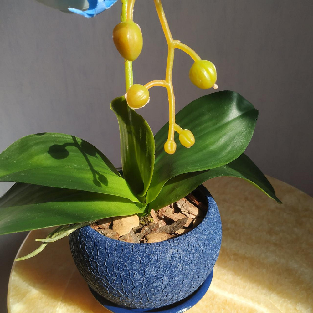 Штучна латексна орхідея VIP у синьому керамічному кашпо на одну блакитну гілку Дніпро - фото 3