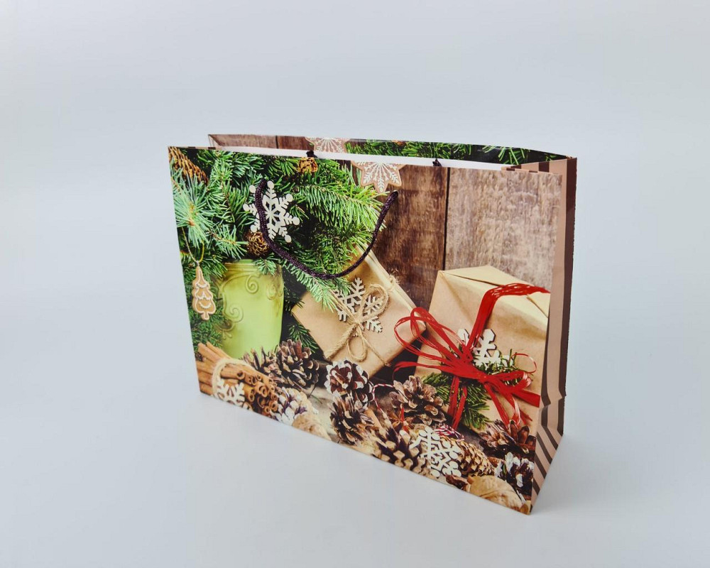 Паперові пакети великий горизонтальний 36/22/10 nBG-08 (12 шт) Харків - фото 3