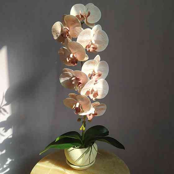 Штучна латексна орхідея VIP у бежевому керамічному кашпо на одну пудрову гілку. Дніпро