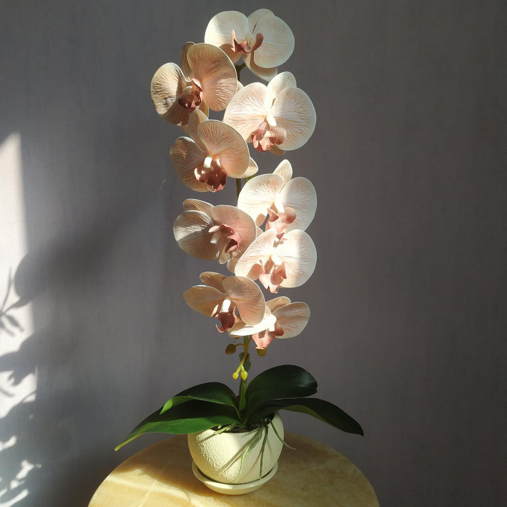 Штучна латексна орхідея VIP у бежевому керамічному кашпо на одну пудрову гілку. Дніпро - фото 1