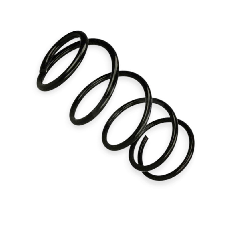 Пружина Форд Focus II 1.6TDCI, 1.8, 2.0 (03-12), Focus C-Max (03-07) передняя Мукачево - изображение 1