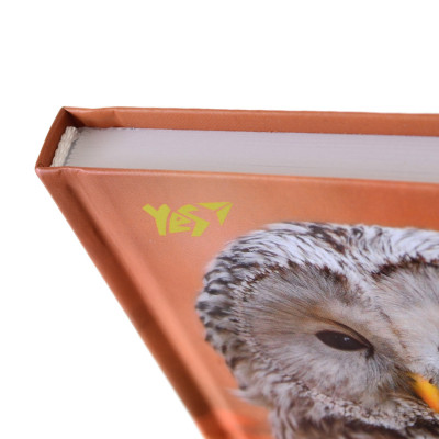 Блокнот Yes 140*185/96 л "Wild force" линия (151483) Винница - изображение 4