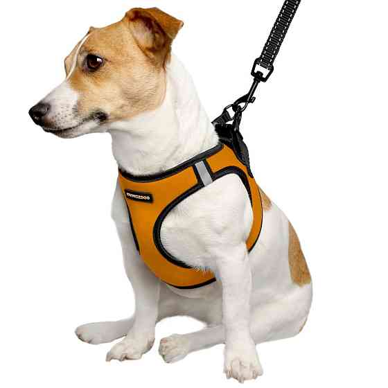 М'яка світловідбиваюча шлея для собак середніх і маленьких порід, шлея для дрібних і середніх порід помаранчева Одеса