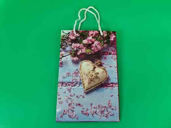 Паперовий пакет подарунковий Середній 17/26/8 (артSV-030) (12 шт.) Харків