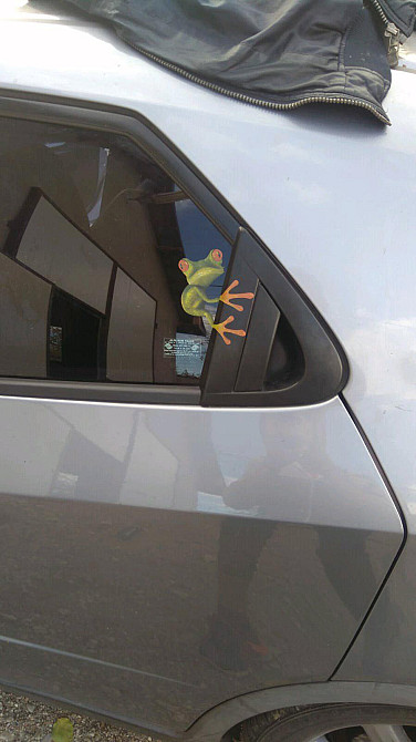 Наклейка на авто Жаба Київ - фото 7