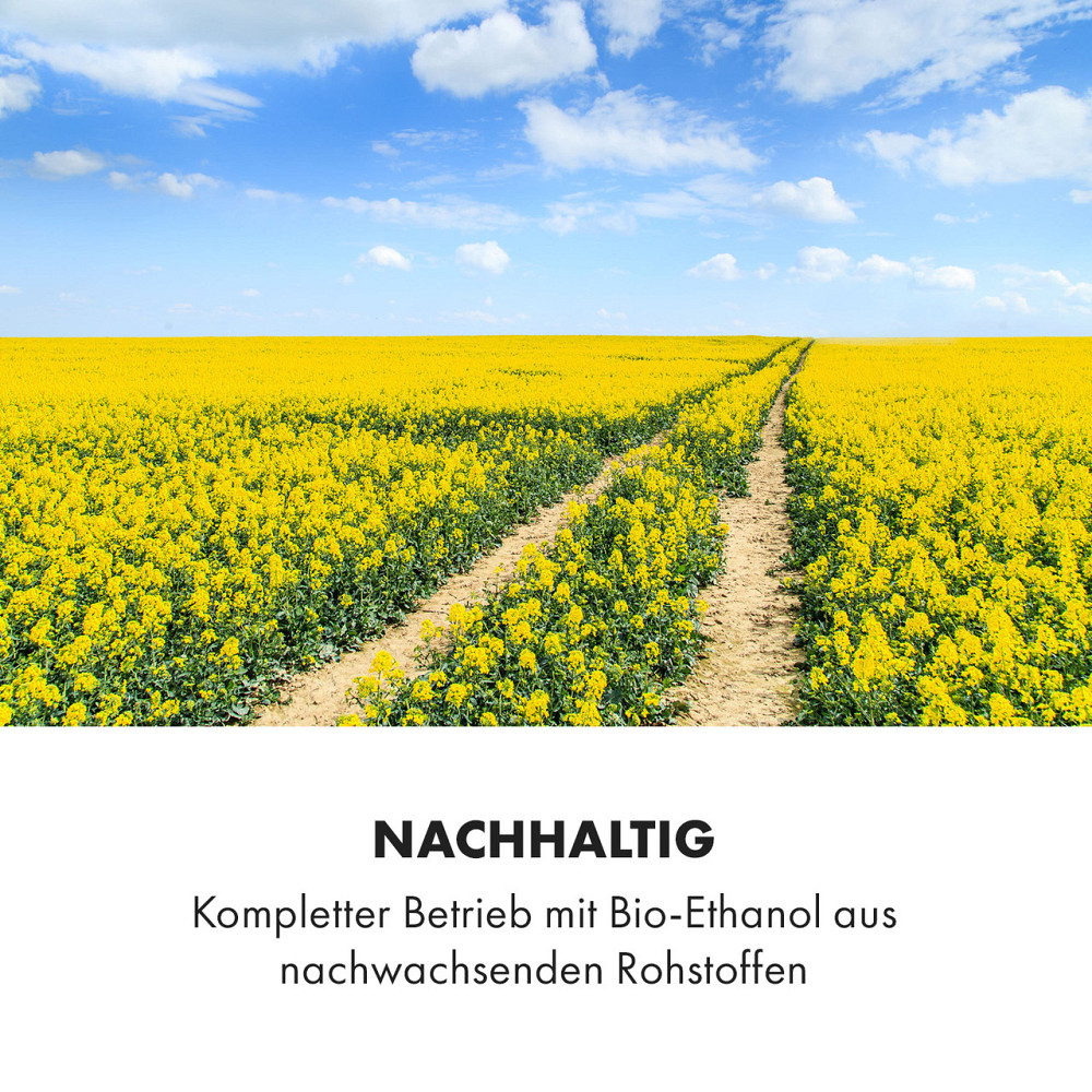 Засіб для пожежогасіння каміна на етанолі з неіржавкої сталі Phantasma (Німеччина, читати опис) Рівне - фото 7