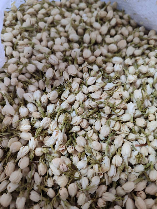 Жасмин (бутони), 100г. Київ - фото 1