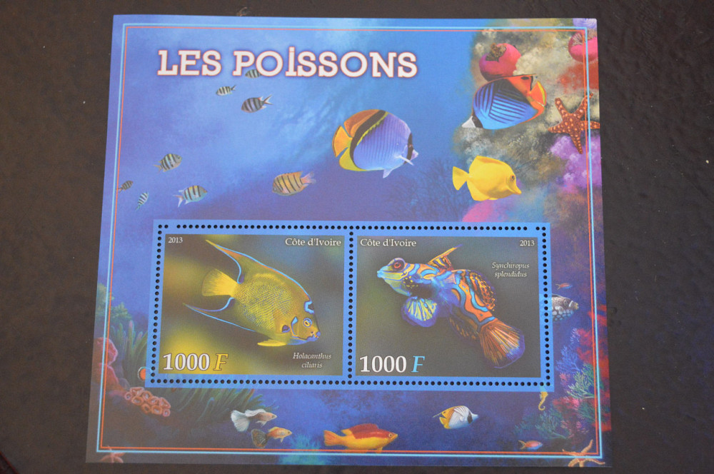 Кот-д'Івуар. Фауна. Блок. 2015 рік (В-6) Полтава - фото 1