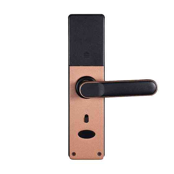 Замок біометричний автономний Trinix TRL-5402BTF Bronze з Bluetooth, зчитувачем відбитків пальців і карт Mifare (65-00072) Київ