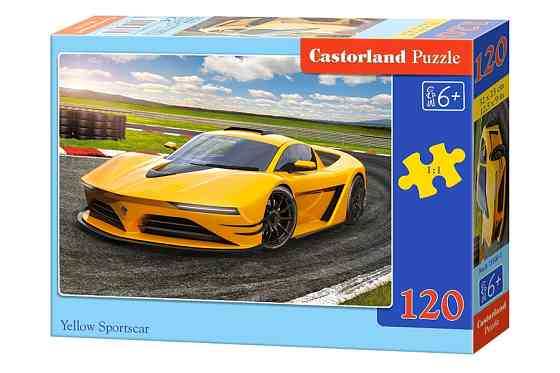 Пазлы Castorland 120 midi, шт Киев